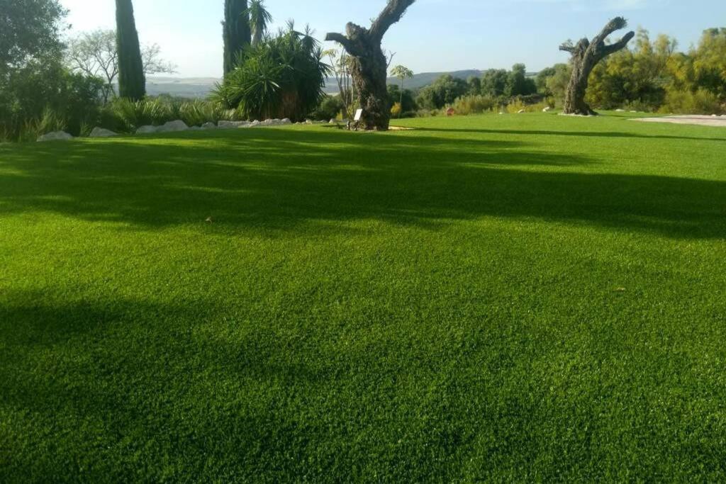 Villa Exclusiva Con Piscina Privada, La Tina Golf Аркос-де-ла-Фронтера Екстер'єр фото